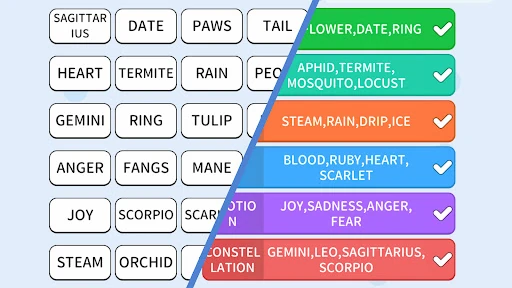 Association Sort: Word Match — 7