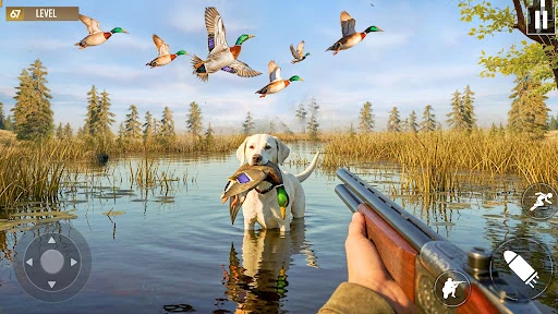 Duck Hunting 3d - Fps Shooting — 2