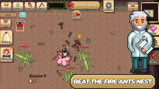 Pocket Ants: Colony Simulator — 14