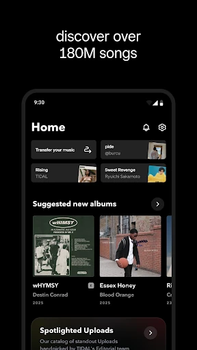 TIDAL Music: HiFi sound — 19