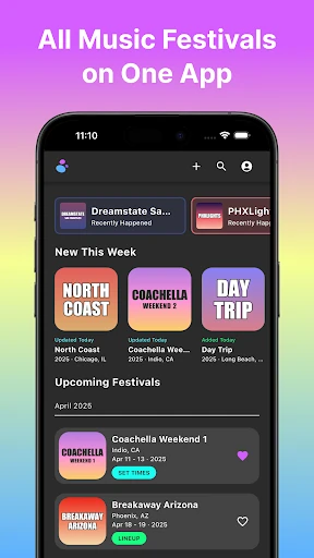 Festival Dust: Music Festivals — 1
