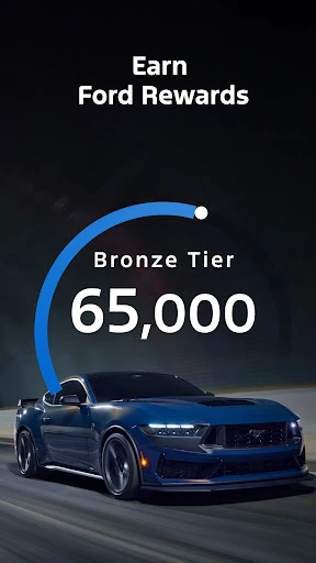 Ford™ — 10