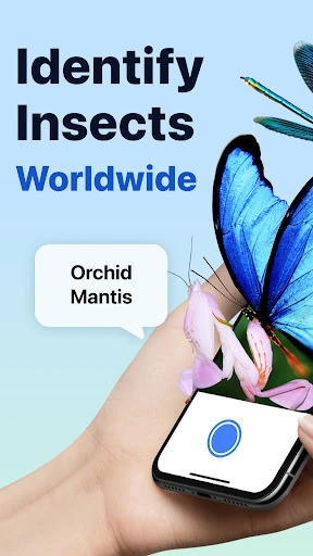 Picture Insect: Bug Identifier — 1