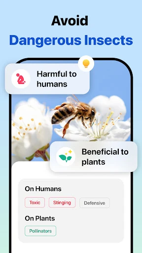 Picture Insect: Bug Identifier — 3