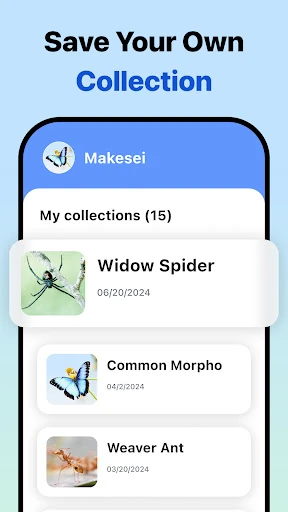 Picture Insect: Bug Identifier — 6