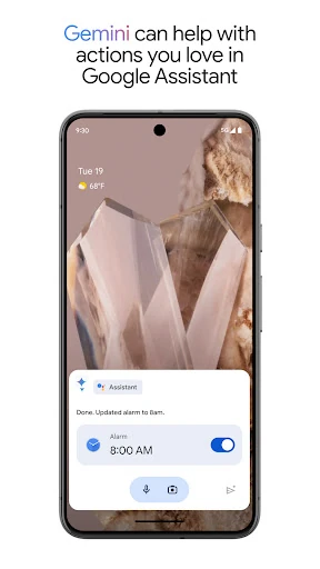Google Assistant — 5