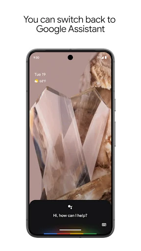 Google Assistant — 6