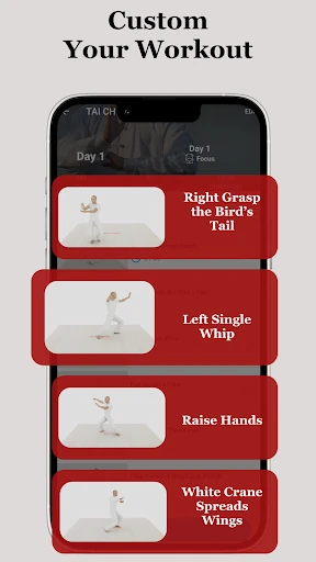 Tai Chi Workout at Home — 8