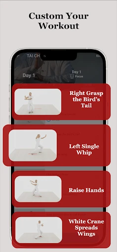 Tai Chi Workout at Home — 20