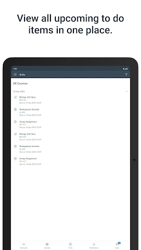 Canvas — 5