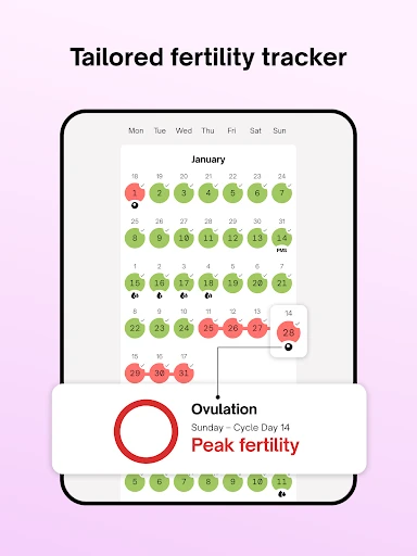 Natural Cycles - Birth Control — 3