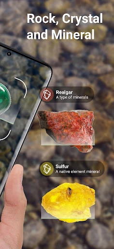 Rock Identifier: Stone ID — 10