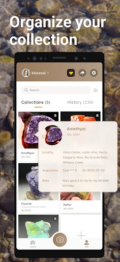 Rock Identifier: Stone ID — 11