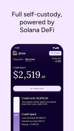 Pyra - Hold, Earn, Spend — 4