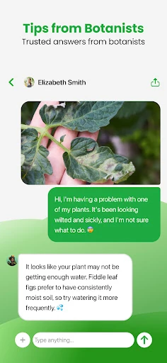 Plant App - Plant Identifier — 6