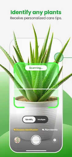 Plant App - Plant Identifier — 12