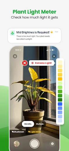 Plant App - Plant Identifier — 16