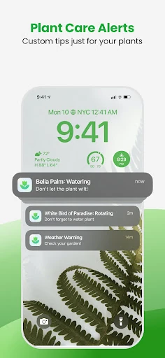 Plant App - Plant Identifier — 17