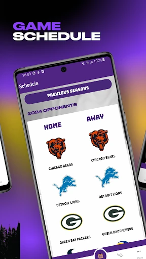Minnesota Vikings — 3
