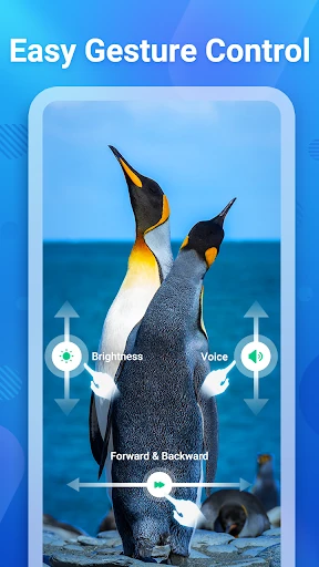 Video Player All Formats HD — 17