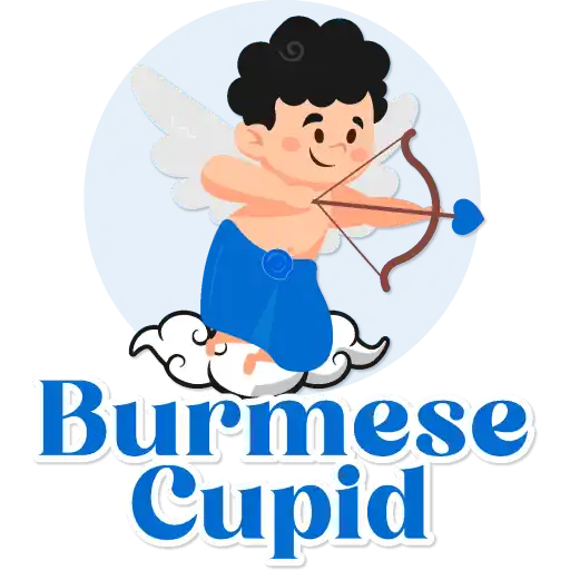 Burmese Cupid