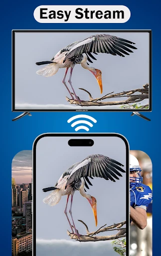 MirrorLink — 2