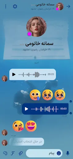 چت هاوس: دوست یابی ایرانی — 4
