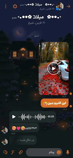 چت هاوس: دوست یابی ایرانی — 6