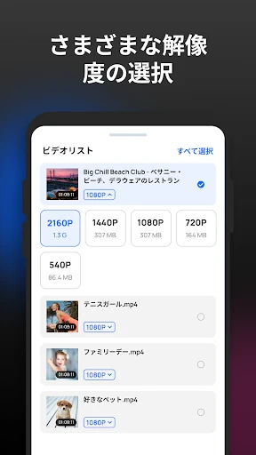 マルチ動画ダウンローダーPro — 4