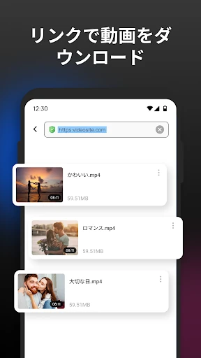マルチ動画ダウンローダーPro — 5