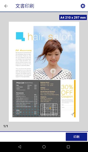 Epson iPrint — 3