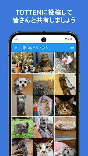 大分合同新聞 Gate — 4