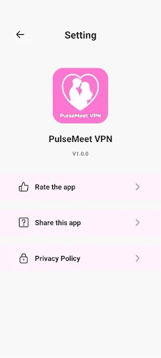 PulseMeet — Wherever You Are — 4